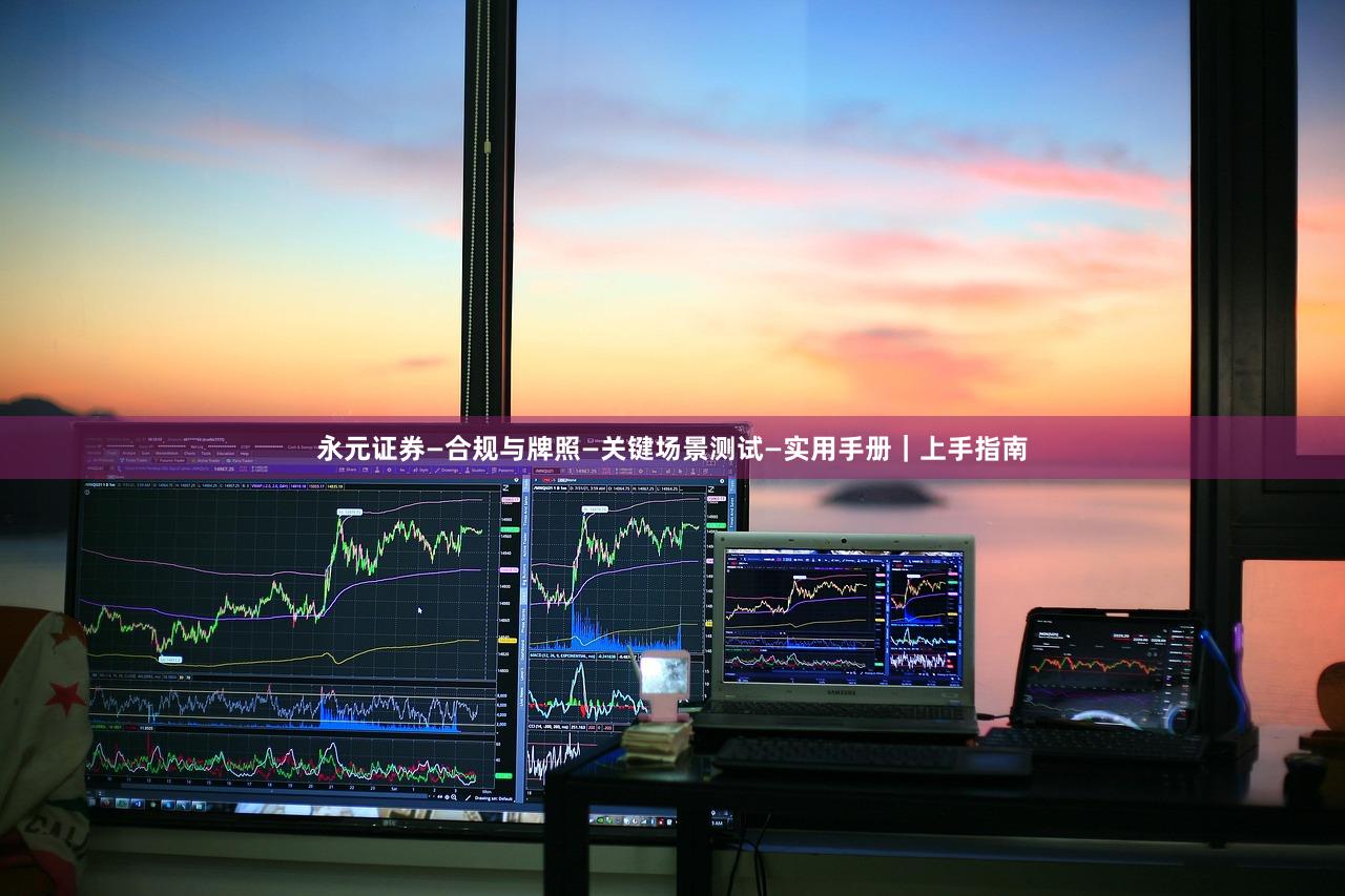 永元证券—合规与牌照—关键场景测试—实用手册｜上手指南