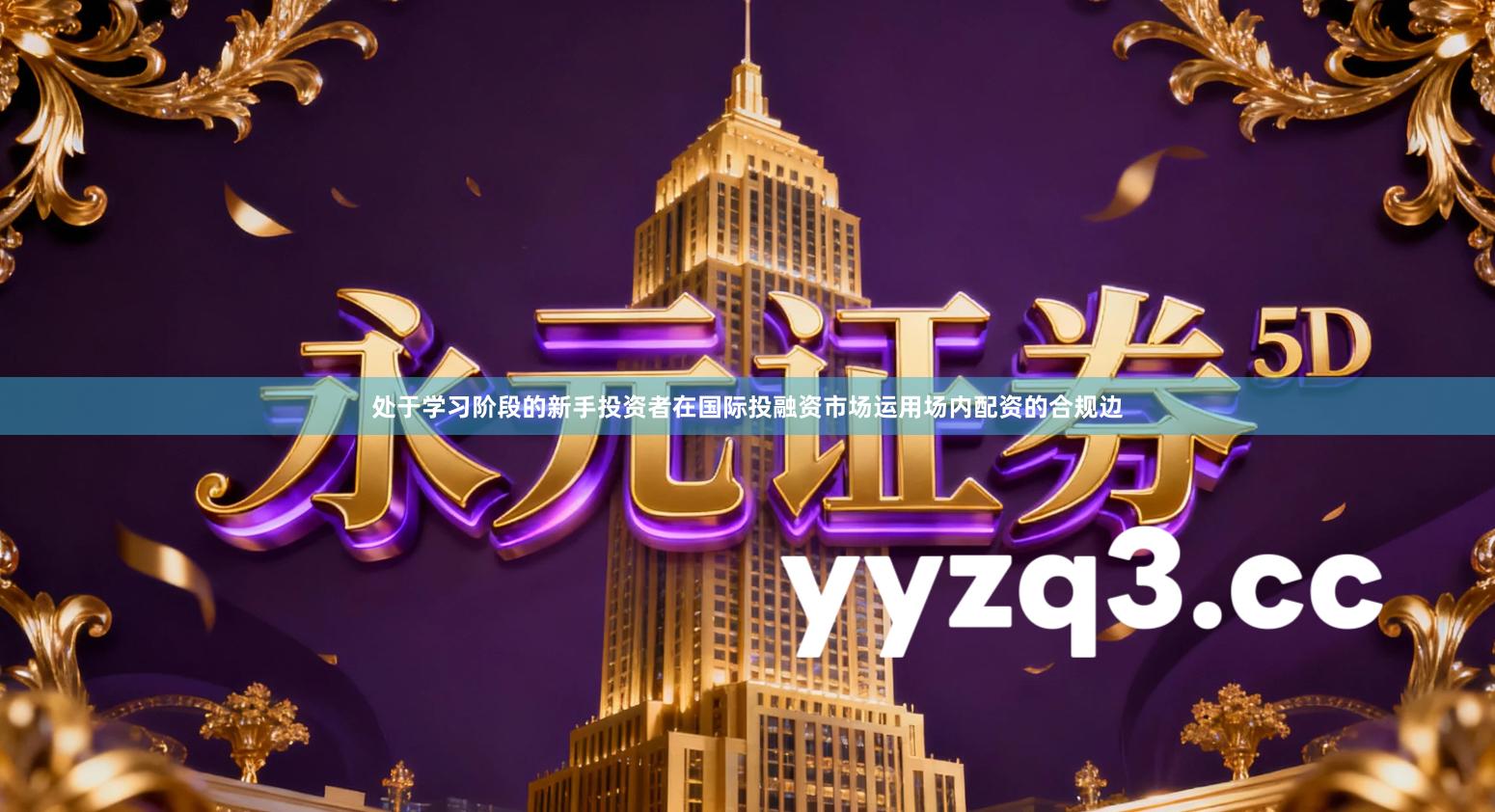 处于学习阶段的新手投资者在国际投融资市场运用场内配资的合规边